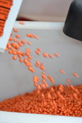 Similar image 1266254