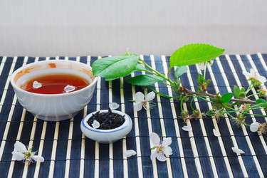 Similar image 1266298