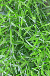 Similar image 1266360