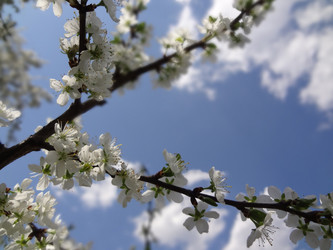 Similar image 1266363