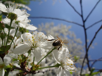 Similar image 1266364