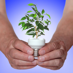 Similar image 1266366