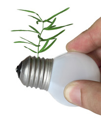 Similar image 1266367