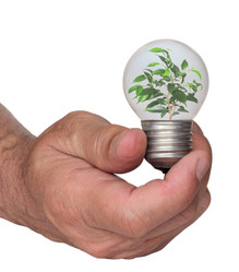 Similar image 1266369