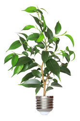 Similar image 1266377