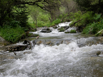 Similar image 1266402