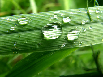 Similar image 1266403