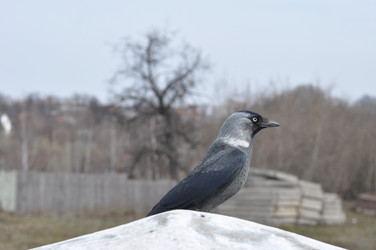 Similar image 1266446