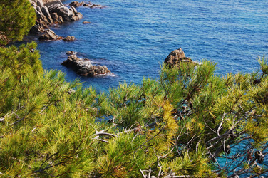 Similar image 1266466