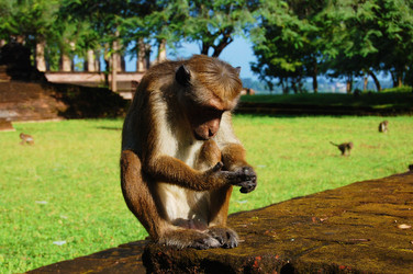 Similar image 1266469