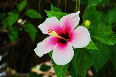 Similar image 1266471