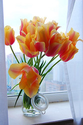 Similar image 1266472