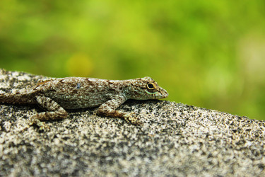 Similar image 1266473