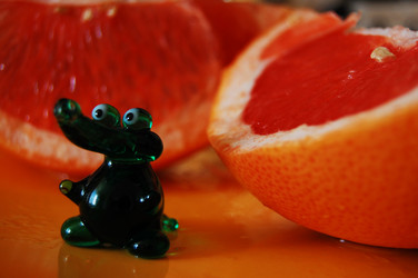 Similar image 1266474