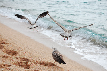 Similar image 1266476