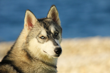 Similar image 1266477