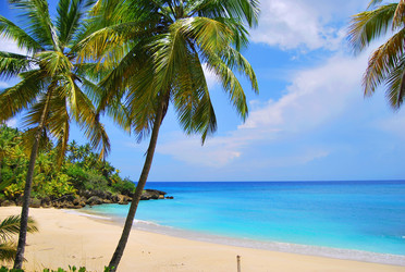 Similar image 1266479