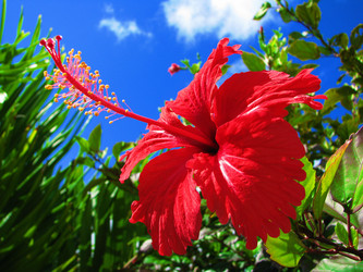 Similar image 1266505