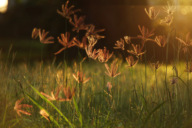 Similar image 1266519