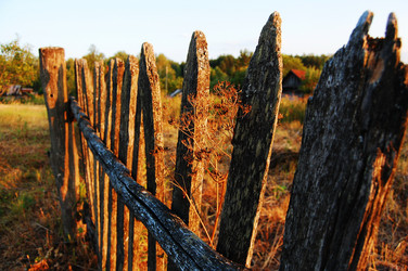 Similar image 1266523