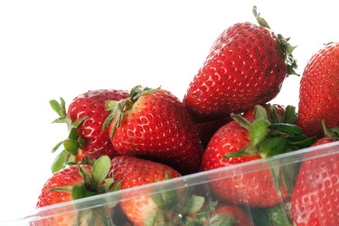 Similar image 1266528