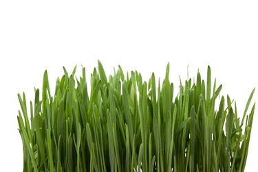 Similar image 1266538