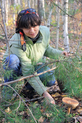 Similar image 1266578