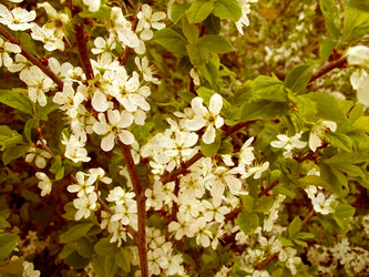 Similar image 1266580