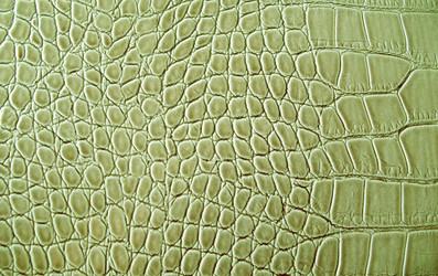 Similar image 1266584