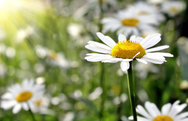 Similar image 1266585