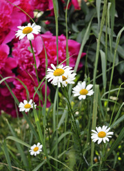 Similar image 1266587