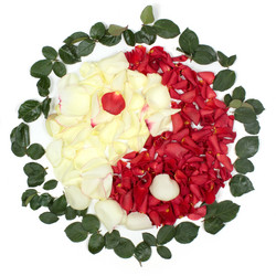 Similar image 1266590