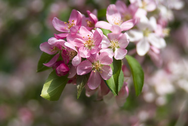 Similar image 1266624