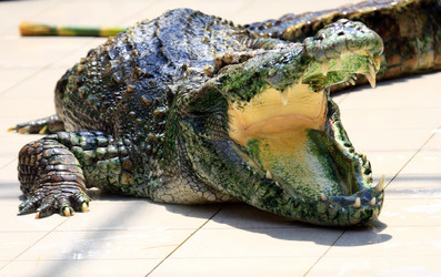 Similar image 1267922