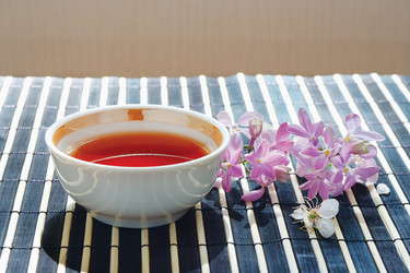 Similar image 1267937