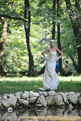 Similar image 1268492