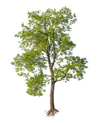 Similar image 1269665