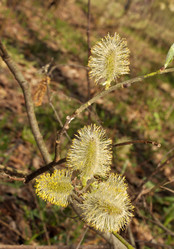 Similar image 1269668