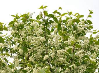 Similar image 1269671