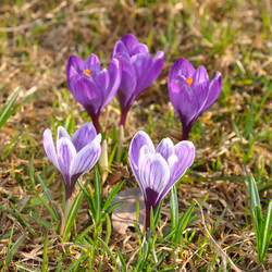 Similar image 1269678