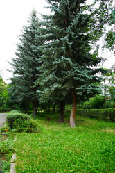 Similar image 1269706