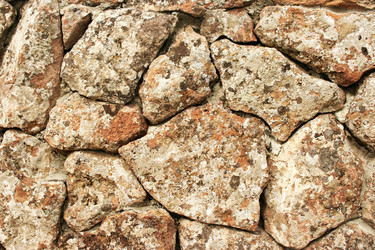 Similar image 1269709