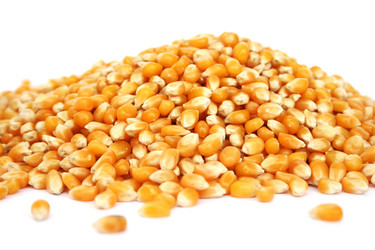 Similar image 1269724