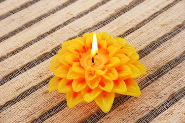 Similar image 1269725