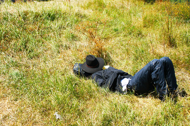 Similar image 1269726