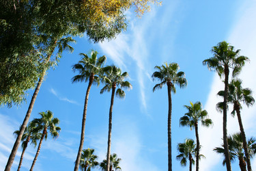 Similar image 1269741