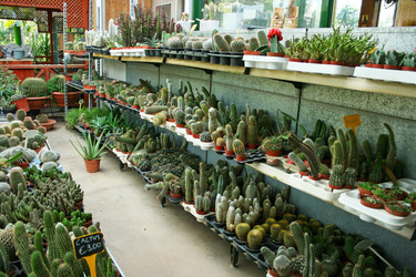 Similar image 1269742