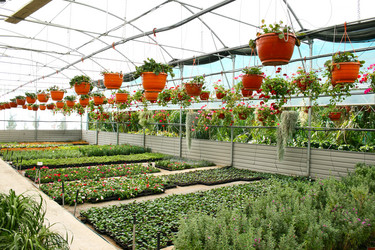 Similar image 1269755