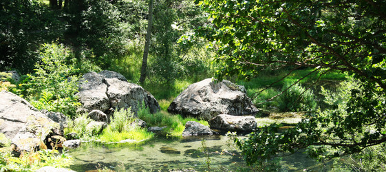 Similar image 1269785