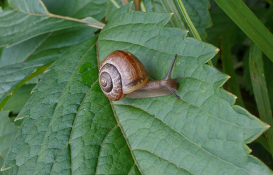 Similar image 1269845